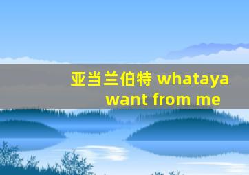 亚当兰伯特 whataya want from me